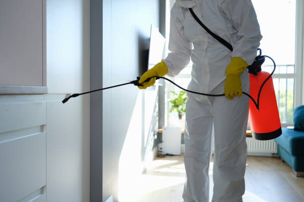 Water Damage Restoration in Apex, NC