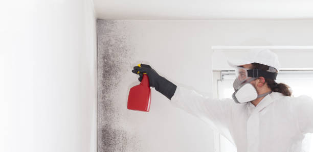Apex, NC Mold Removal Company